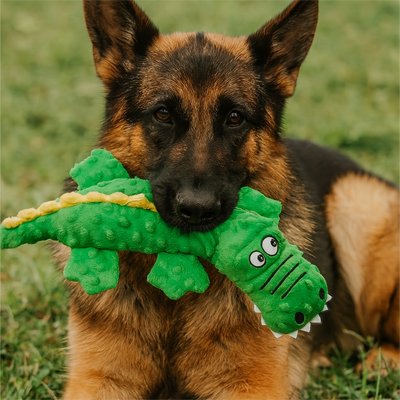 berger allemand tient Peluche Chien dans sa gueule