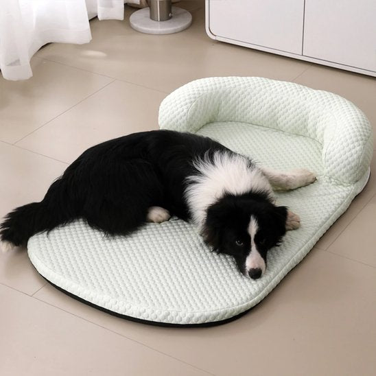border collie coucheTapis rafraichissant chien vert
