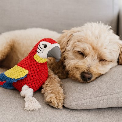 caniche dort sur canapé avec Peluche Chien