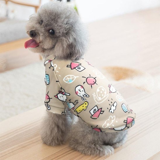 caniche gris porte Pull pour chien fraise sur table