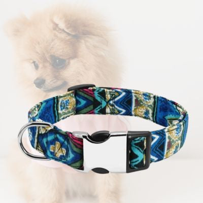 collier chien bleu sur arriere plan de pomeranien