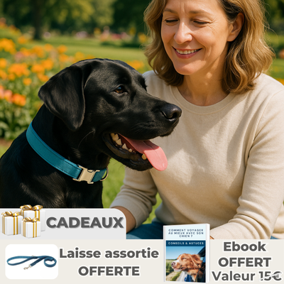 dame avec son labrador noir portant collier chien bleu dans un jardin fleuri