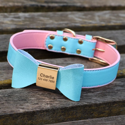 collier chien bleu sur table de bois
