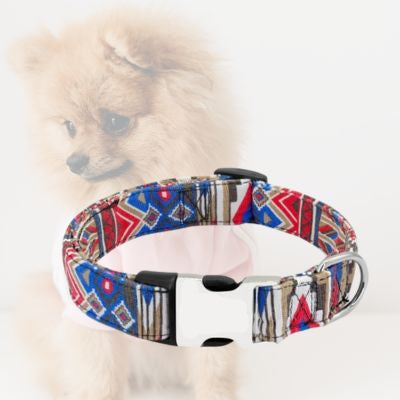 collier chien bleu et rouge sur arriere plan de pomeranien