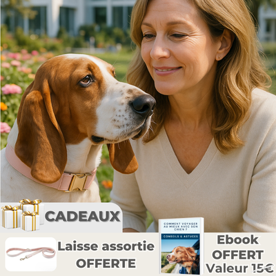 dame avec son basset portant collier chien rose dans un jardin fleuri