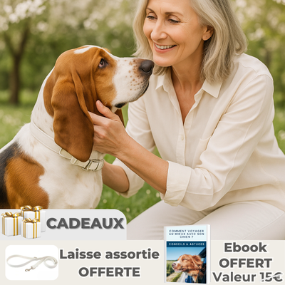 COLLIER CHIEN EN DAIMâą PERSONNALISABLE