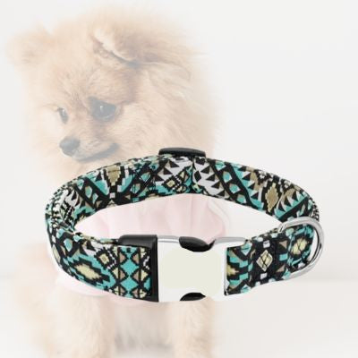 collier chien noir et bleu sur arriere plan de pomeranien