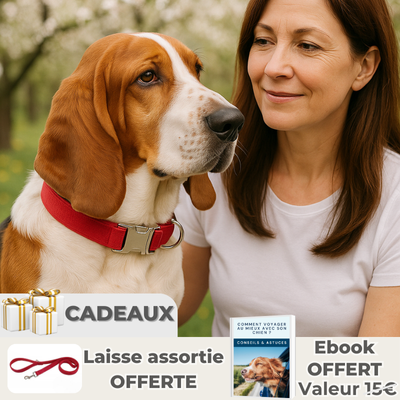 basset portant collier chien rouge est dans les bras de dame de 50 ans dans un jardin fleuri