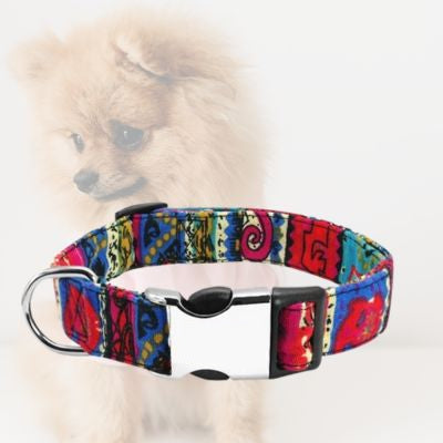 collier chien rouge sur arriere plan de pomeranien