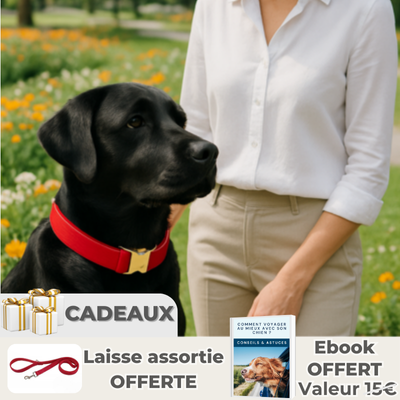 dame avec son labrador noir portant collier chien rouge dans un jardin fleuri