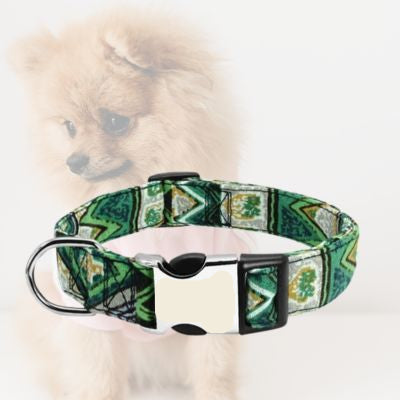 collier chien vert sur arriere plan de pomeranien