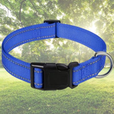 collier pour chien bleu