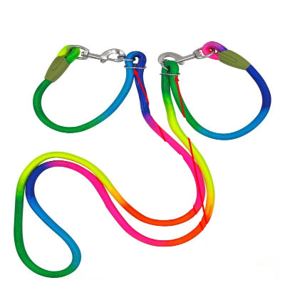 laisse pour chien variante multicolore