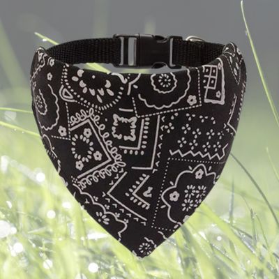 variante-noire-de-collier pour chien foulard-style-bandana-sur-fond-de-gazon