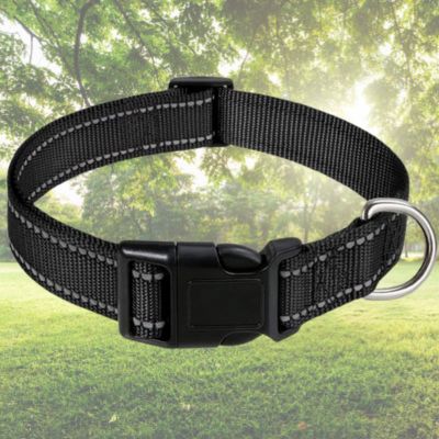 collier pour chien noir