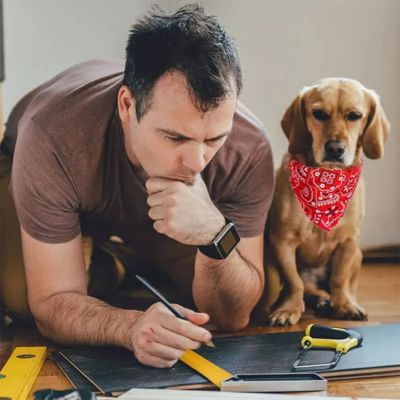 jeune-labrador-jaune-porte collier pour chien est assis-à -cÎté-d'un-homme-à -genoux-et-coudes-par-terre-qui-regarde-des-plans-avec-crayon-dans-main-droite