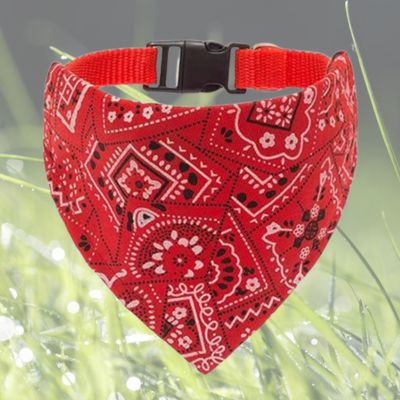 variante-rouge-de-collier pour chien foulard-style-bandana-sur-fond-de-gazon