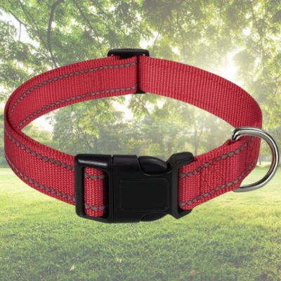 collier pour chien rouge