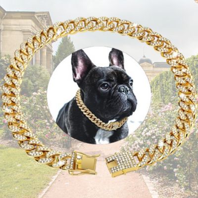 variante-collier-or-avec-diamants-synthétiques-et-boiuledog-français-au-millieu-avec-collier-or