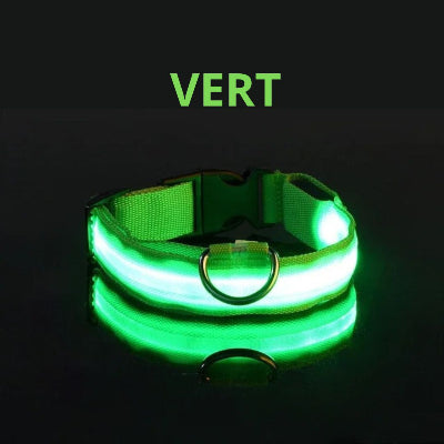 collier lumineux pour chien vert sur fond noir
