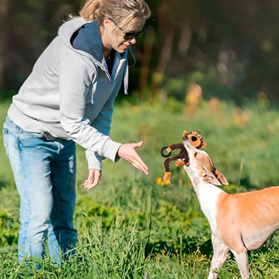 dame joue avec lévrier avec Peluche pour chien dans pré