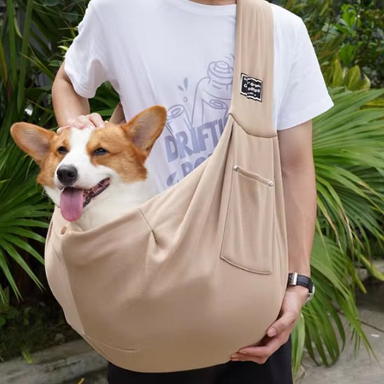 dame porte caniche dans Sac chien beige dans parc