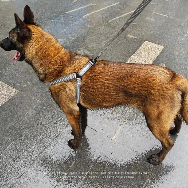 harnais-pour-chien | PupTrek™