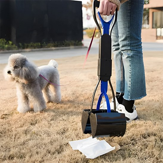 femme utilise ramasse crottes pour chien avec caniche