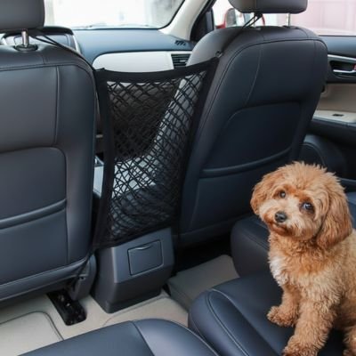 Filet chien voiture installé entre siège et chien sur banquette arrière
