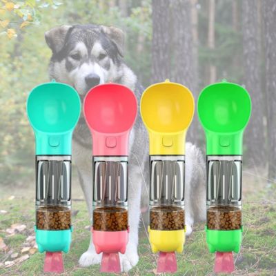 4 gourde pour chien couleurs variees