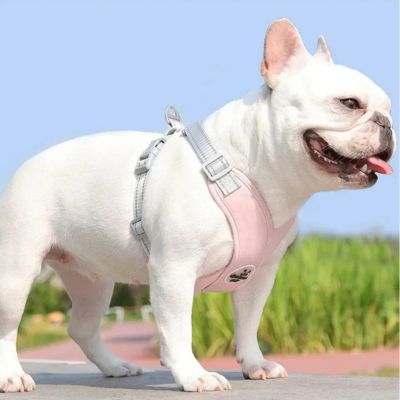 Harnais anti traction/Puptripâą