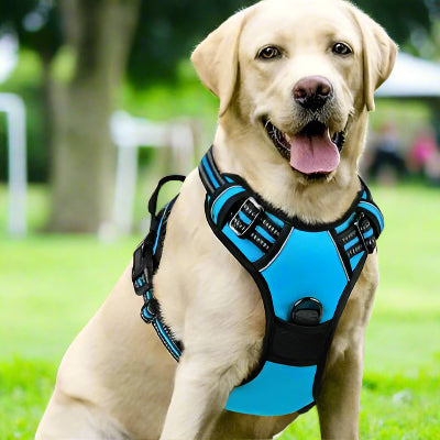 Harnais chien | 4paws™