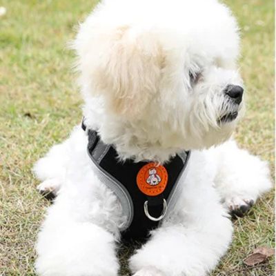 Harnais chien | PupReel™