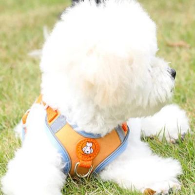 Harnais chien | PupReel™