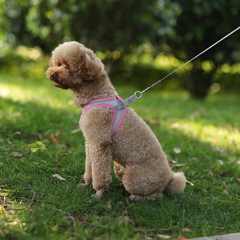 Harnais pour chien | WoofPawsâą