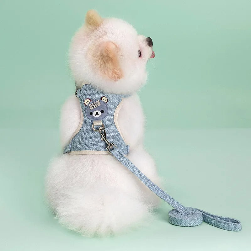 pomeranien blanc porte harnais pour petit chien bleu sur sol bleu