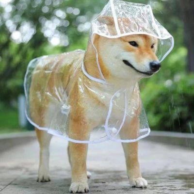 IMPERMÉABLE POUR CHIEN TRANSPARENT