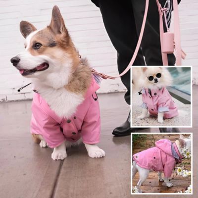 corgi assis au sol en laisse et impermeable pour chien rose