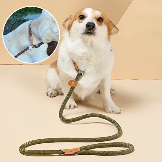 Laisse pour chien | PupLink™