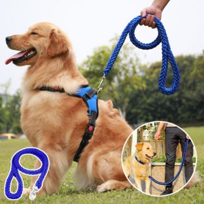 Laisse pour chien | Puptie™