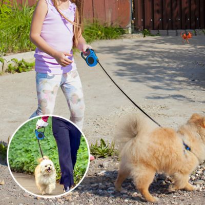 laisse pour chien | Doggielineâą