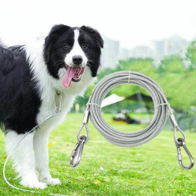 Laisse pour chien | CablePawsâą