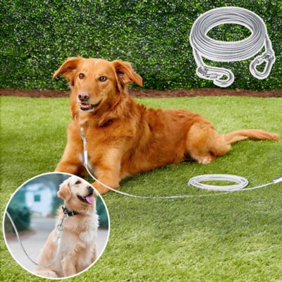 Laisse pour chien | CablePawsâą
