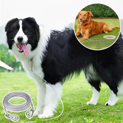 Laisse pour chien | CablePawsâą