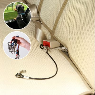 Laisse pour chien | Carpup™