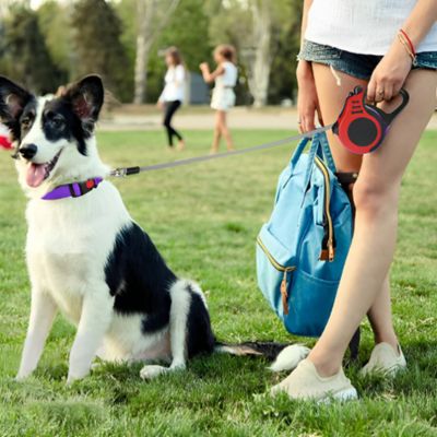 laisse pour chien | Doggielineâą