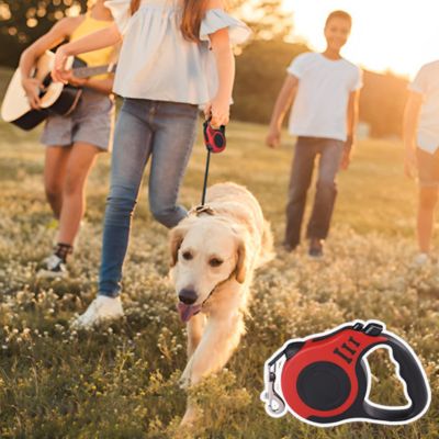 laisse pour chien | Doggielineâą
