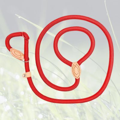 laisse pour chien variante rouge