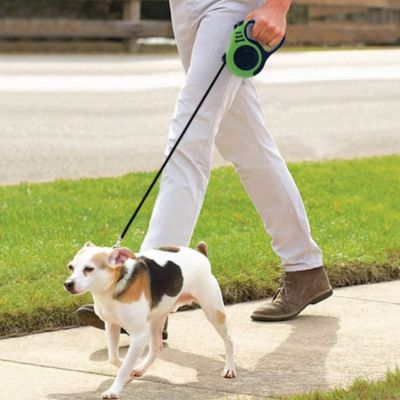 laisse pour chien | Doggielineâą