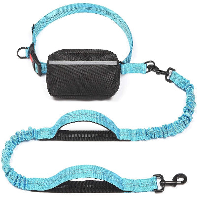 laisse pour chien variante bleu ciel
